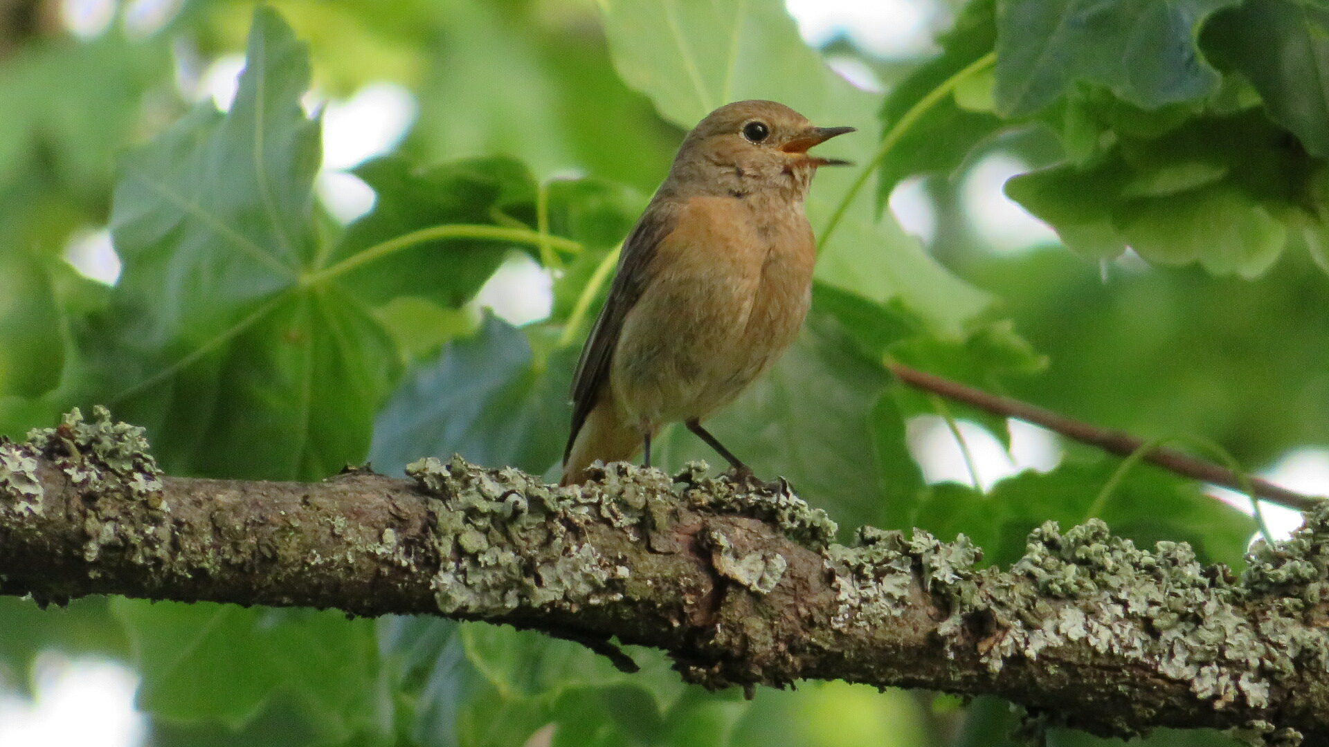 Valokuvaaja: Risto Kangassalo
