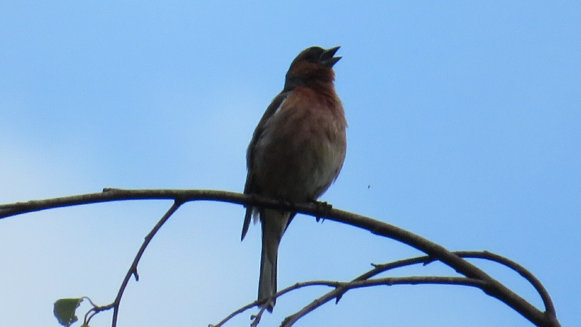 Valokuvaaja: Risto Kangassalo