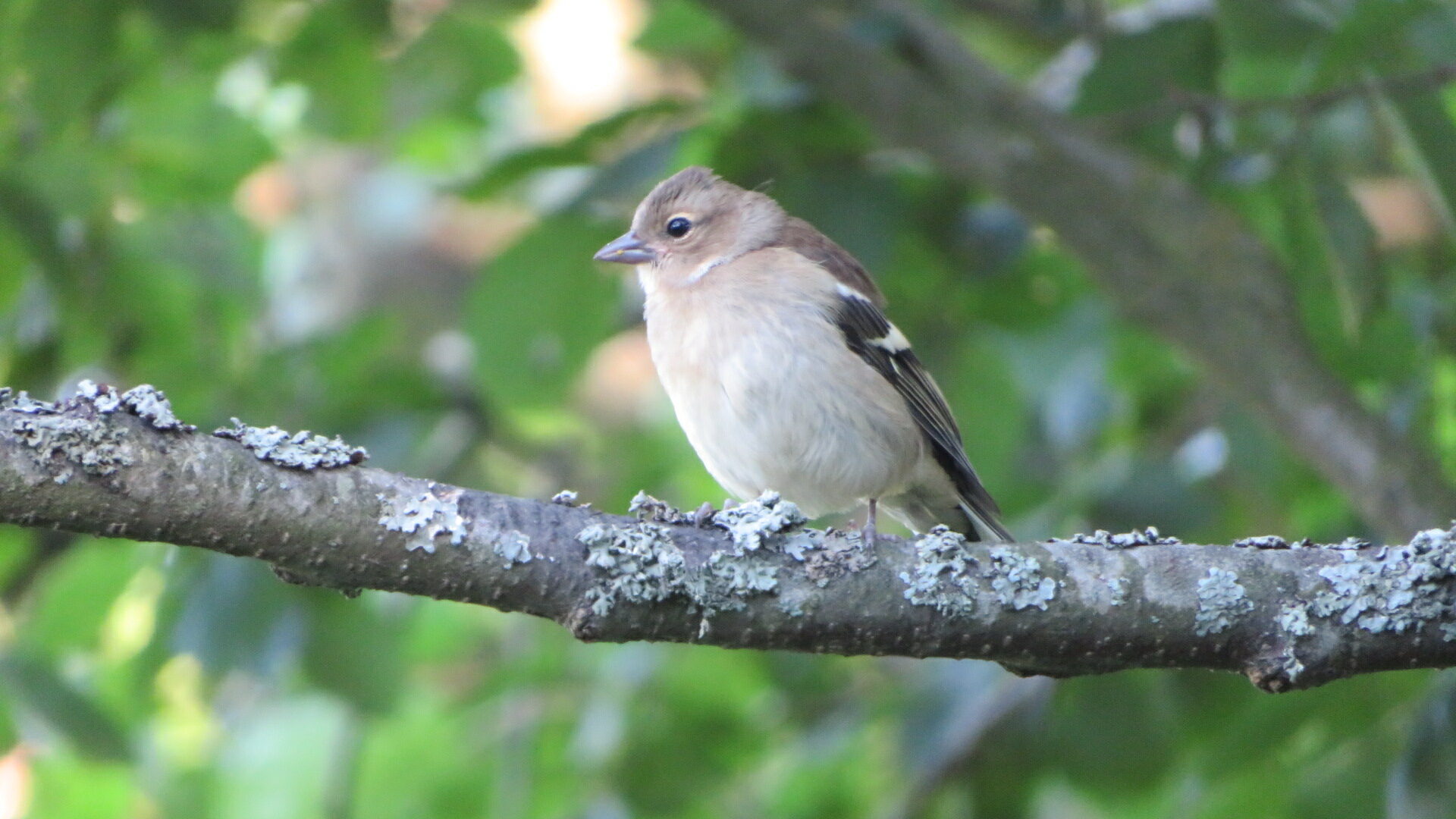 Valokuvaaja: Risto Kangassalo