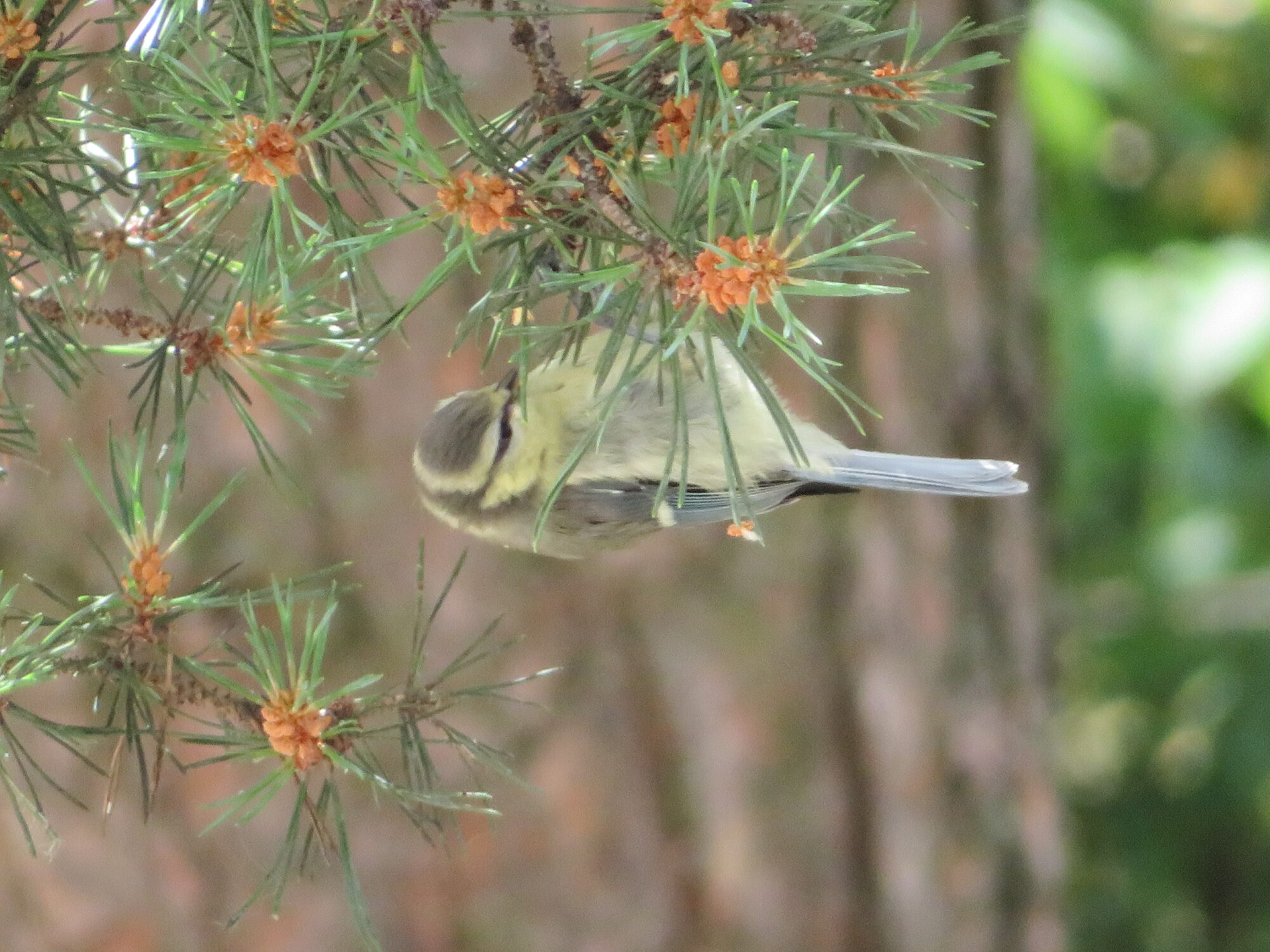 Valokuvaaja: Risto Kangassalo