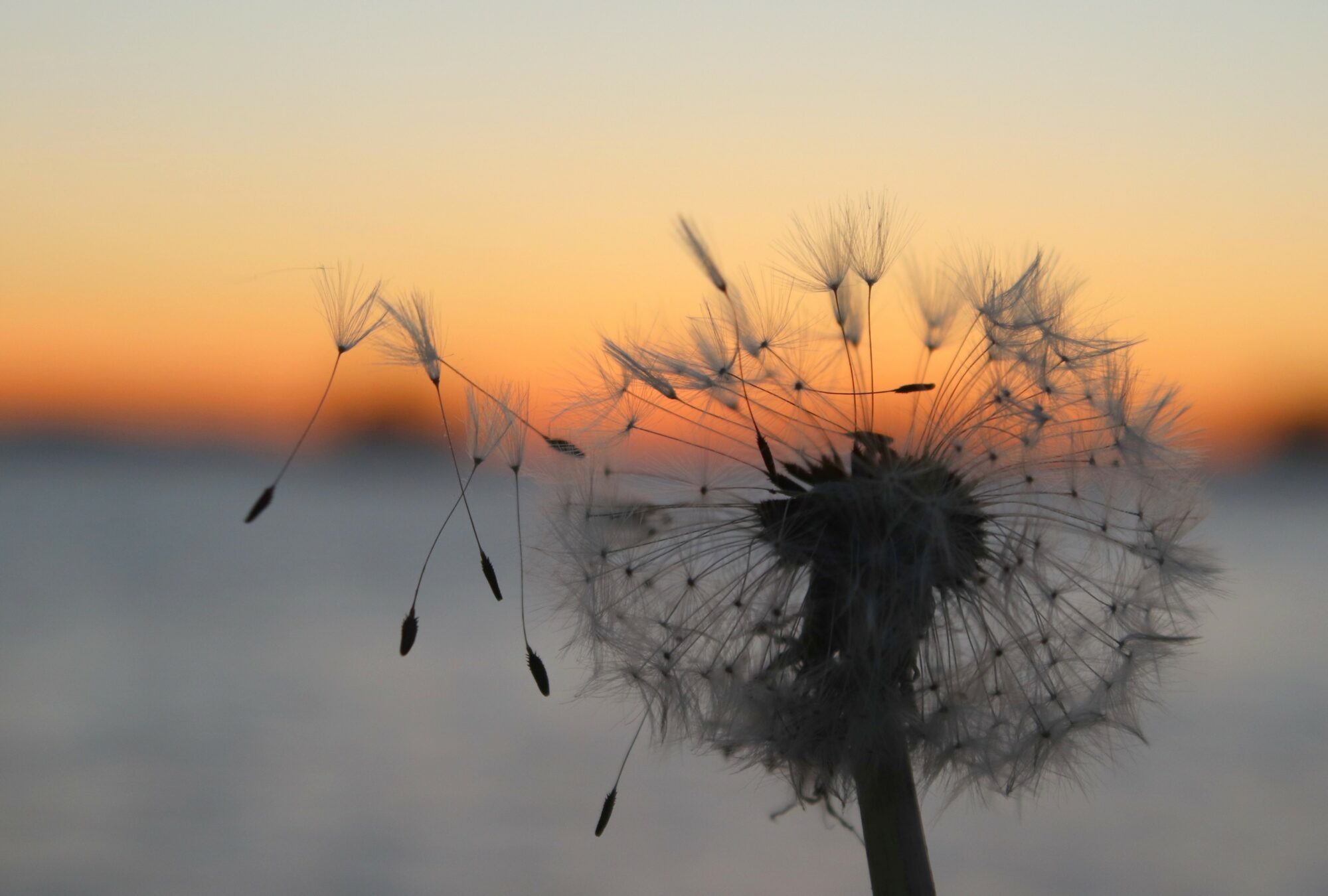 Valokuvaaja: Irja Lehtinen