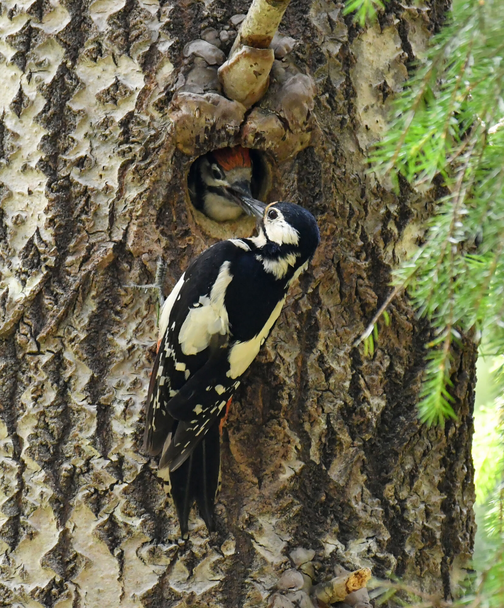 Valokuvaaja: Matti Manninen