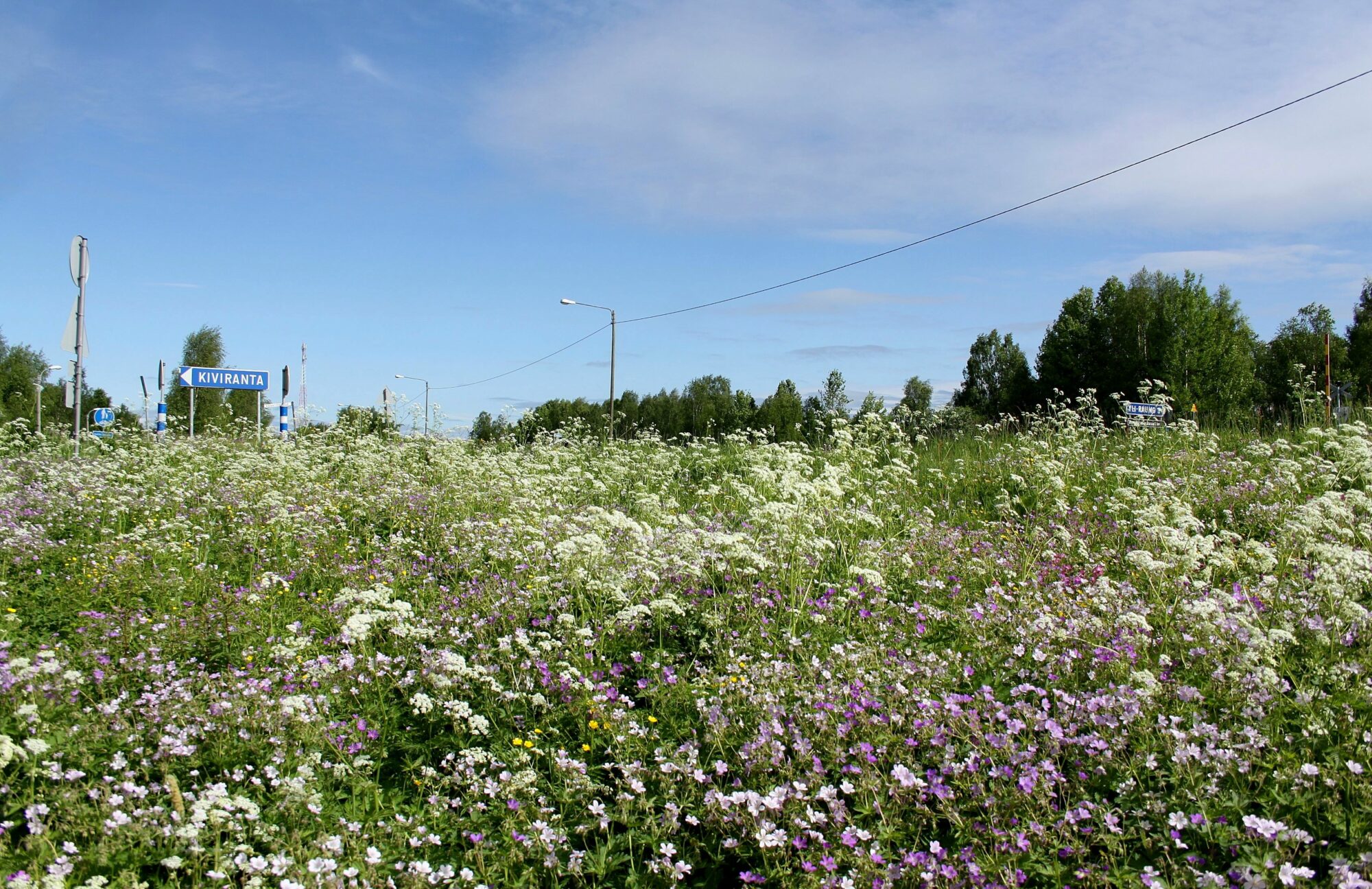 Valokuvaaja: Pirkko Siukonen