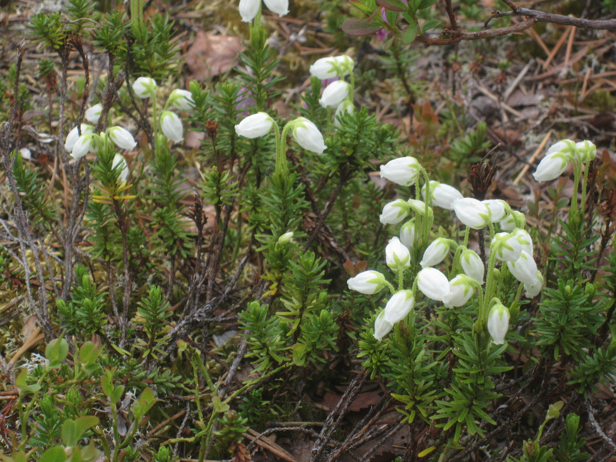 Valokuvaaja: Marita Portin