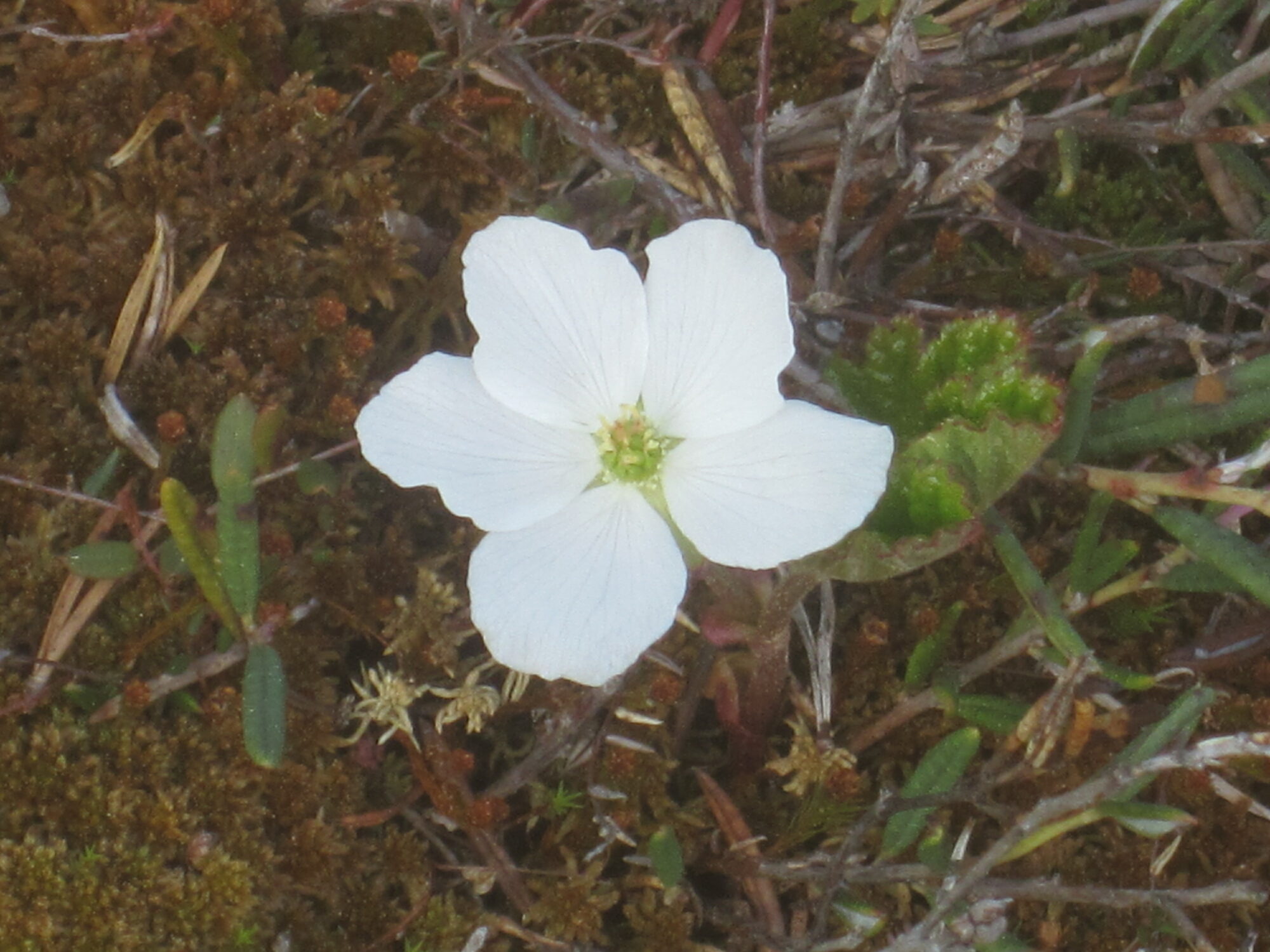 Valokuvaaja: Marita Portin Valokuvaaja: Marita Portin
