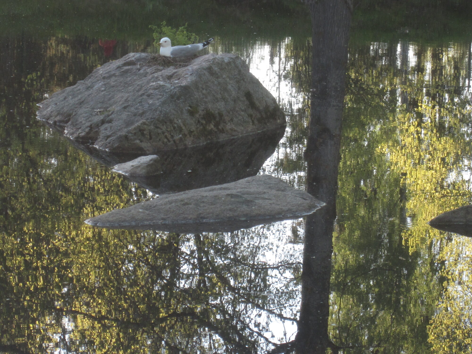 Valokuvaaja: Marita Portin