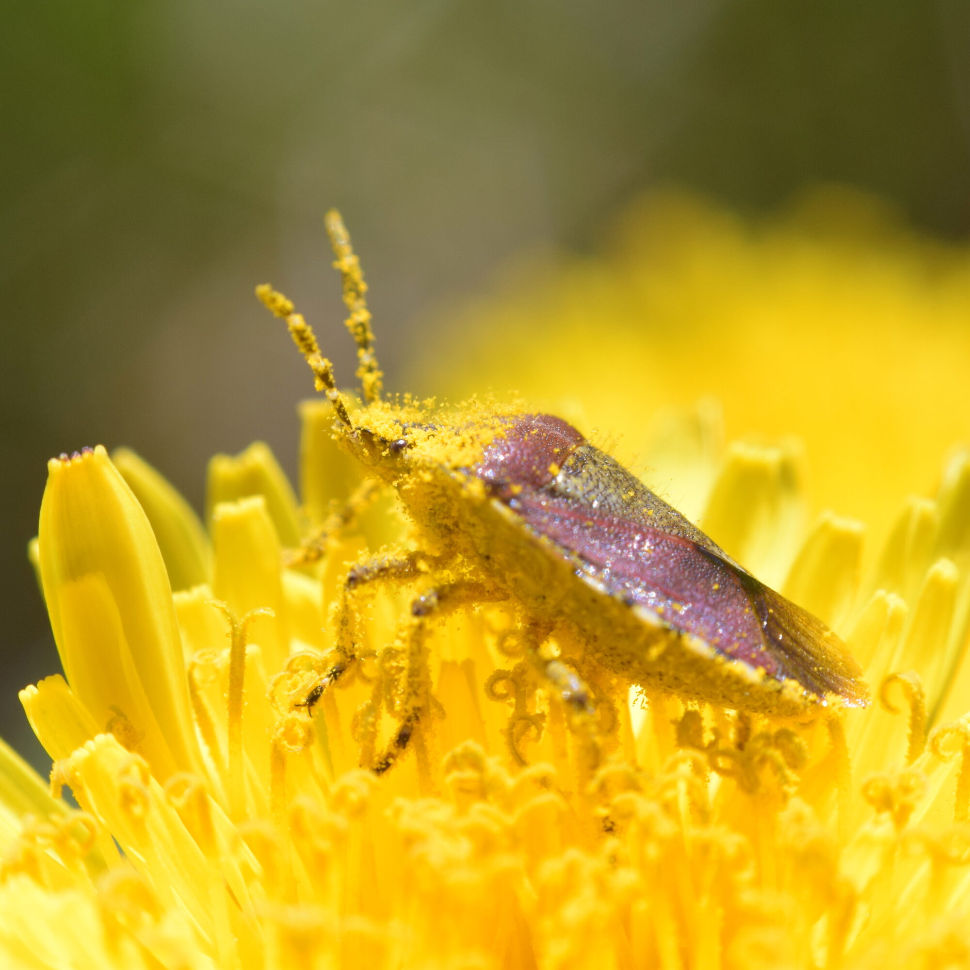Valokuvaaja: Kaarlo Asikainen