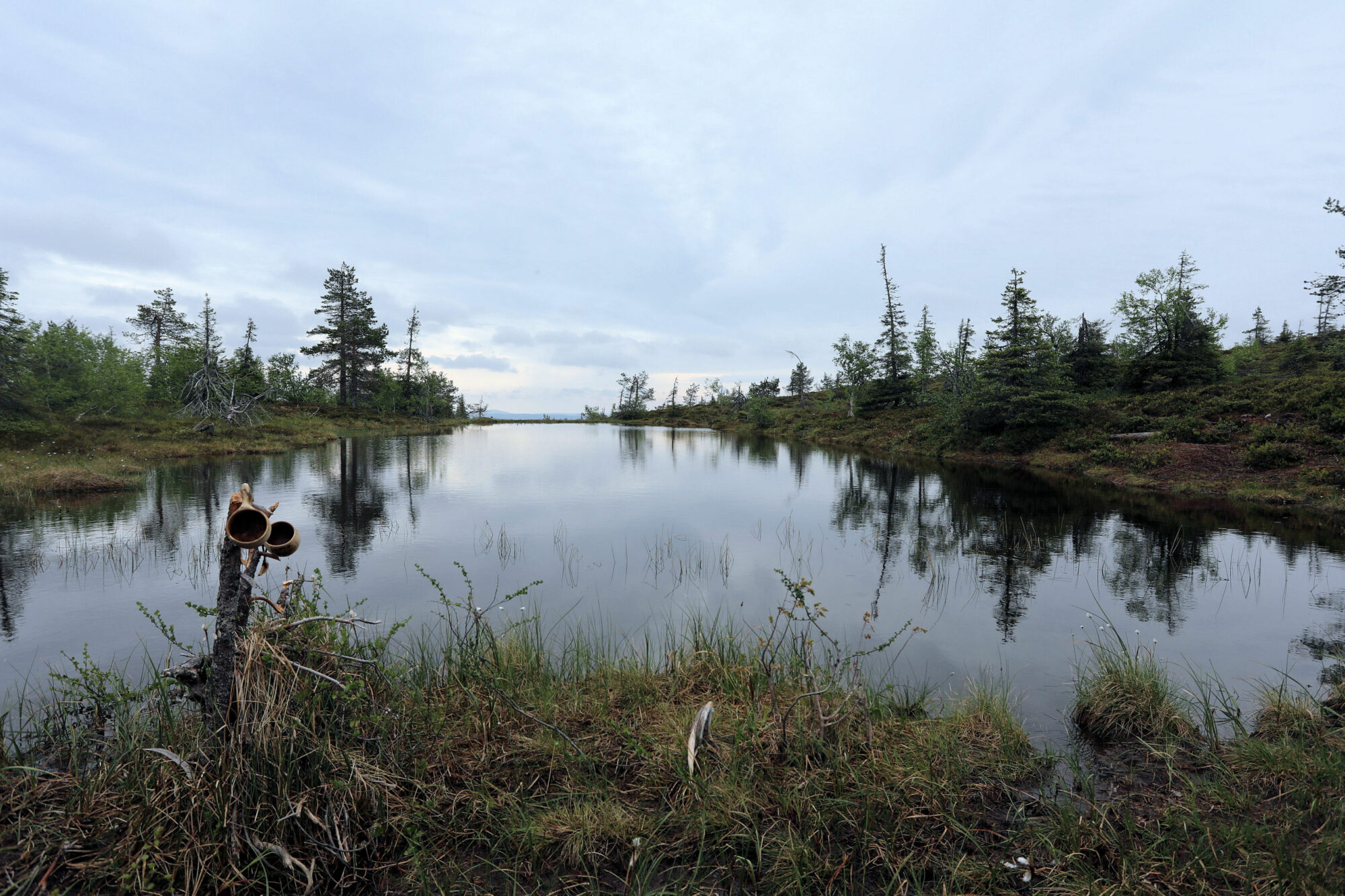 Valokuvaaja: Ahti Keränen