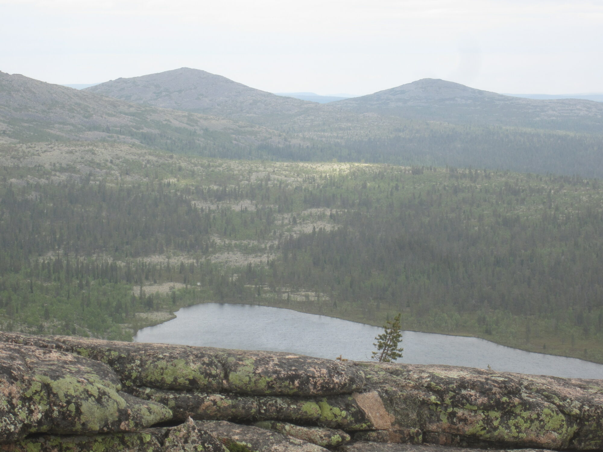 Valokuvaaja: Marita Portin