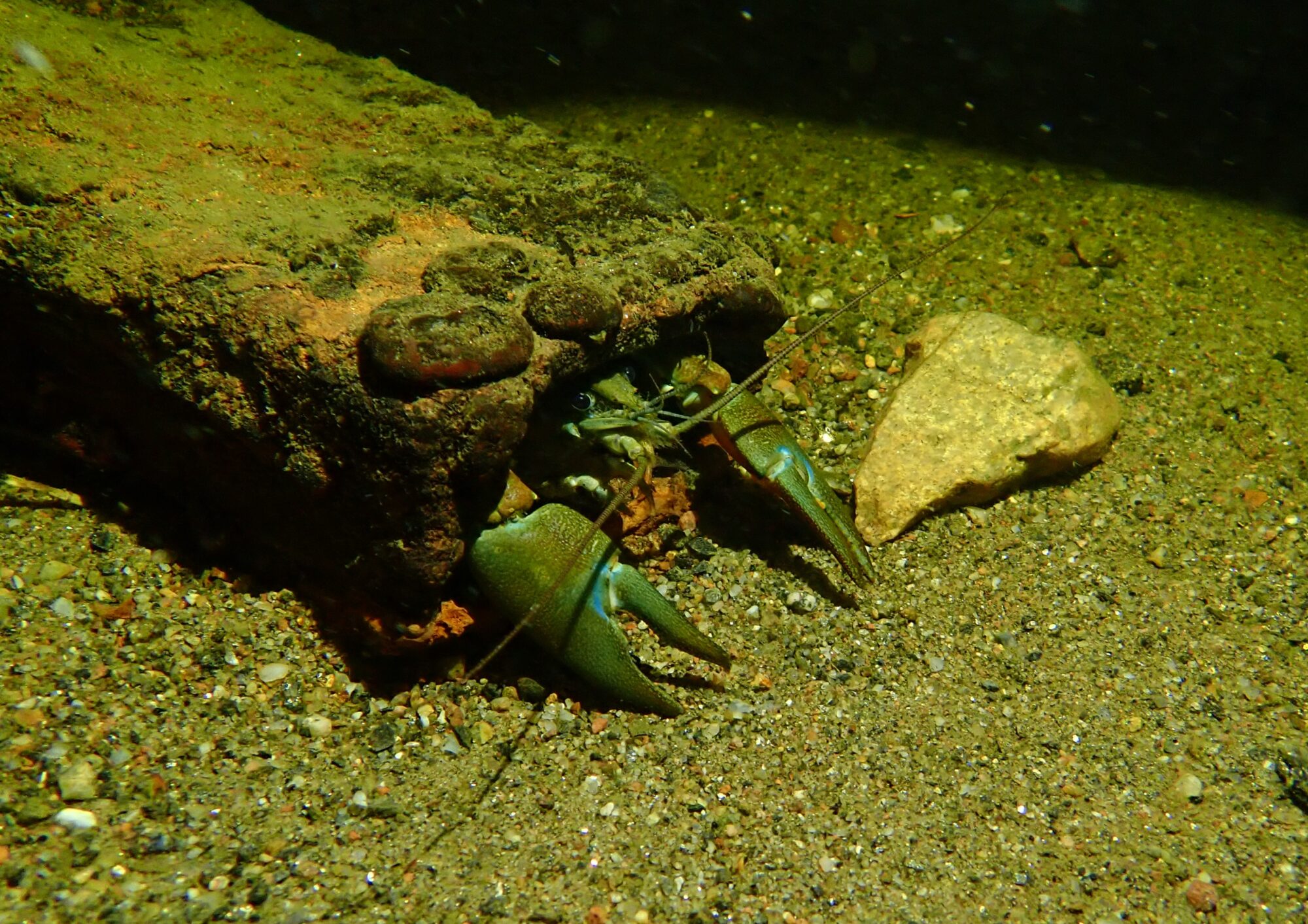 Valokuvaaja: Soili Vesanen