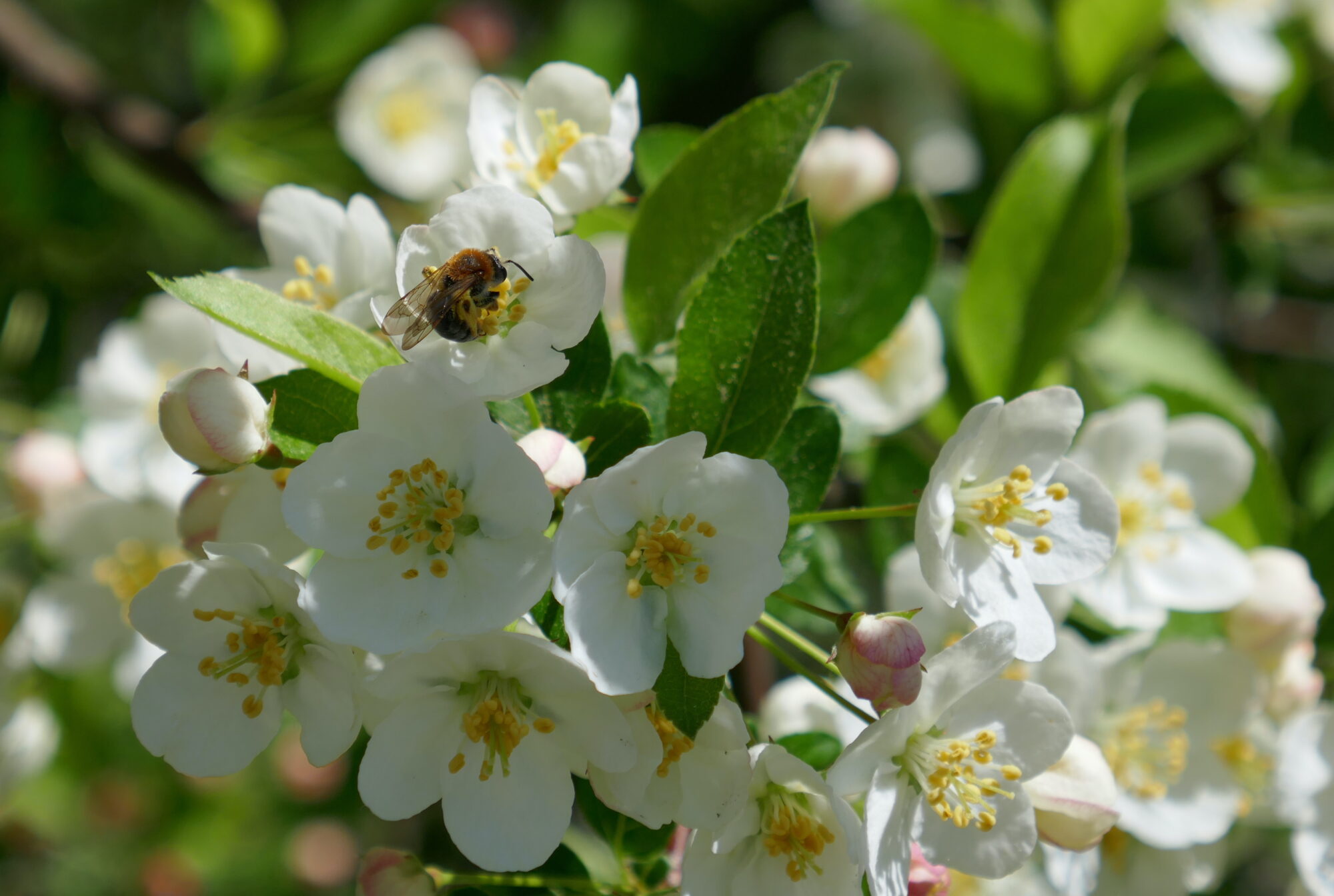 Valokuvaaja: Marjut Ikonen