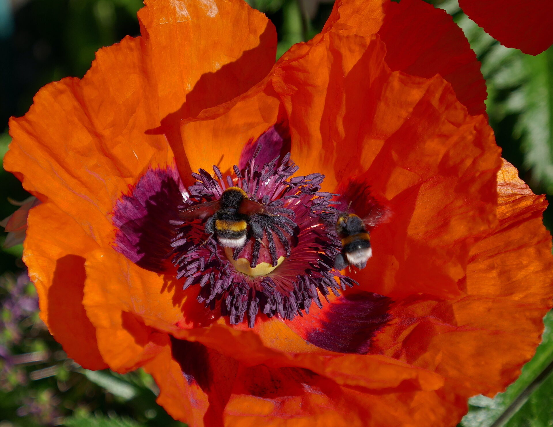 Valokuvaaja: Marjut Ikonen