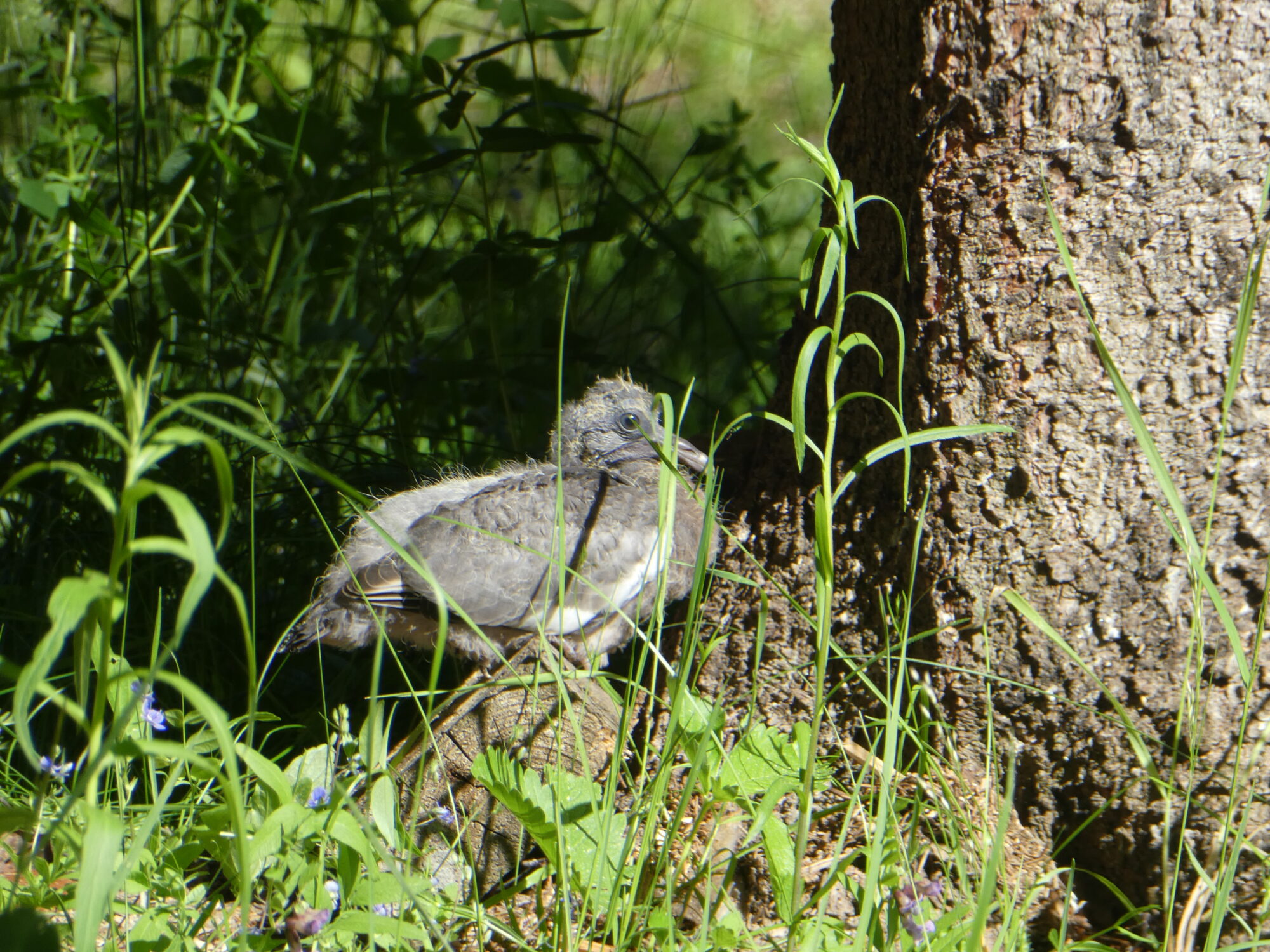 Valokuvaaja: Anja Mustamaa