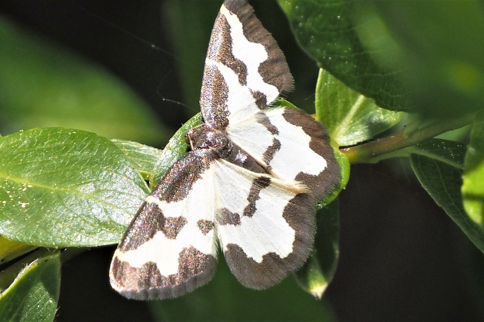 Valokuvaaja: Arja Valtonen Valokuvaaja: Arja Valtonen