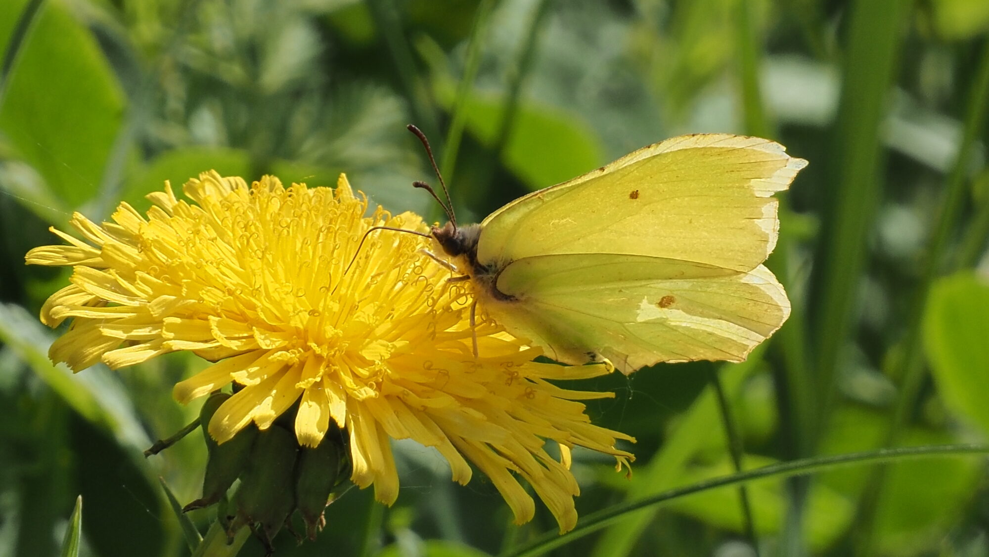 Valokuvaaja: Arja Valtonen