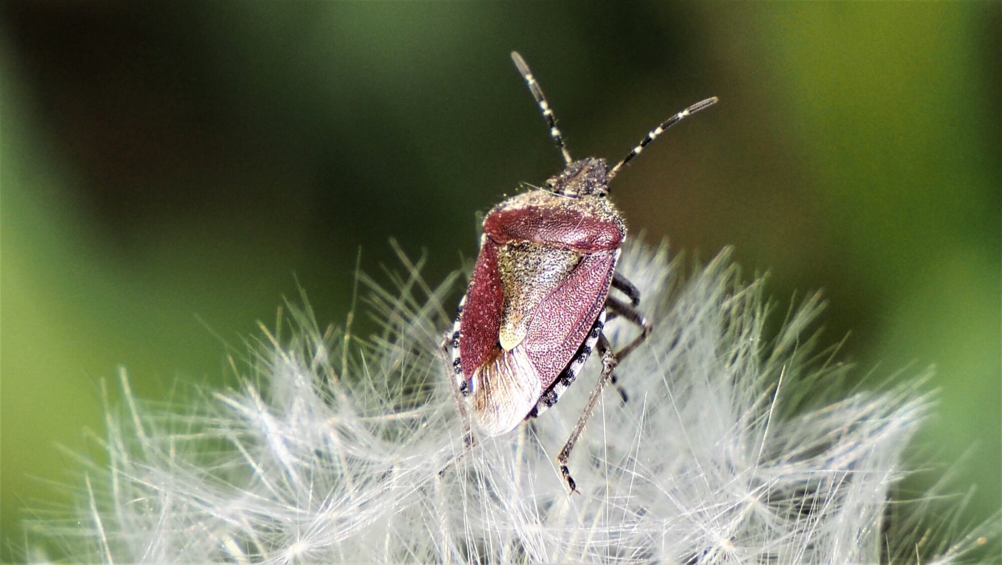 Valokuvaaja: Arja Valtonen