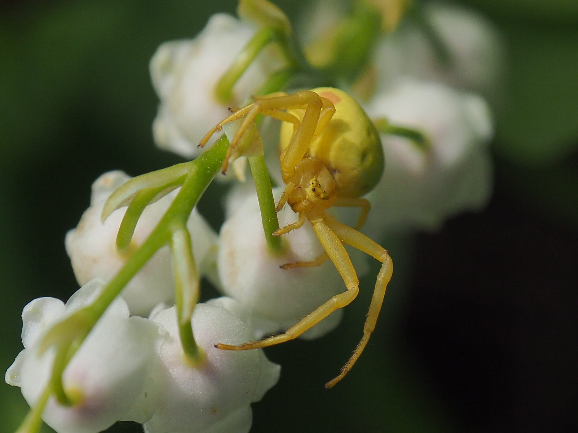 Valokuvaaja: Martti Valtonen
