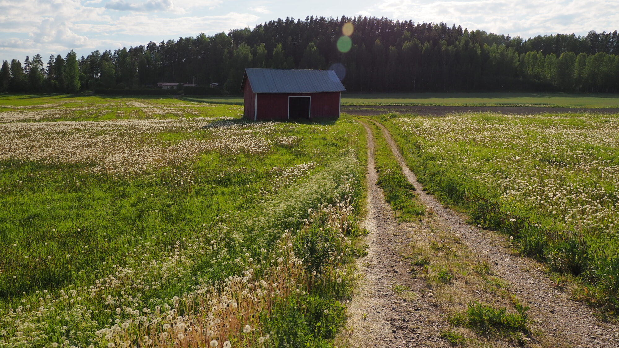 Valokuvaaja: Martti Valtonen