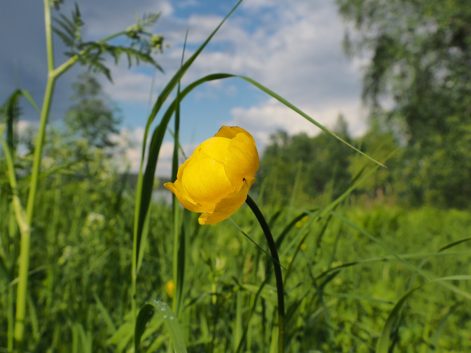 Valokuvaaja: Martti Valtonen