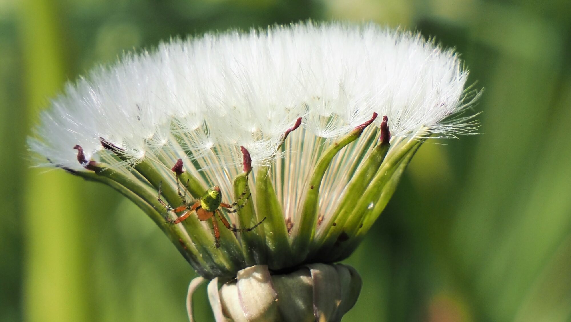Valokuvaaja: Arja Valtonen Valokuvaaja: Arja Valtonen