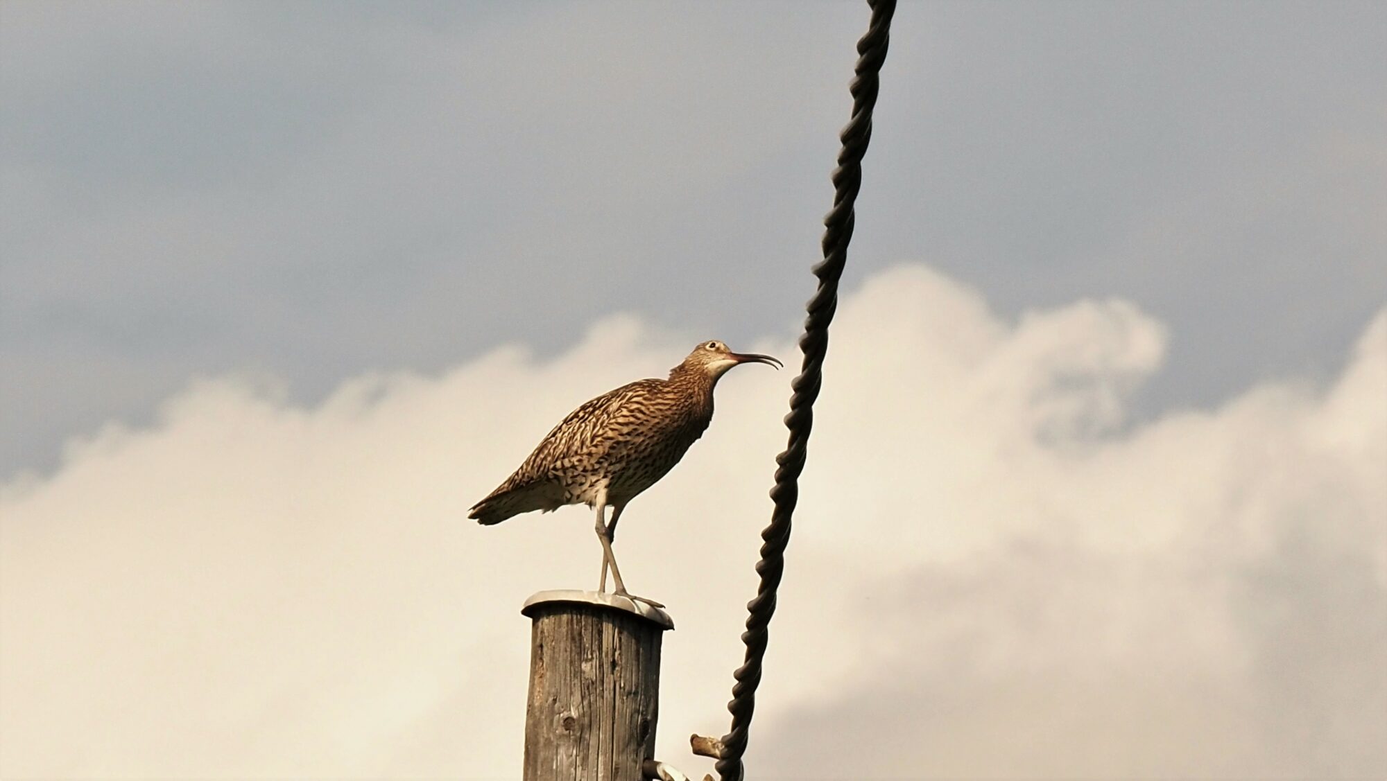 Valokuvaaja: Arja Valtonen Valokuvaaja: Arja Valtonen
