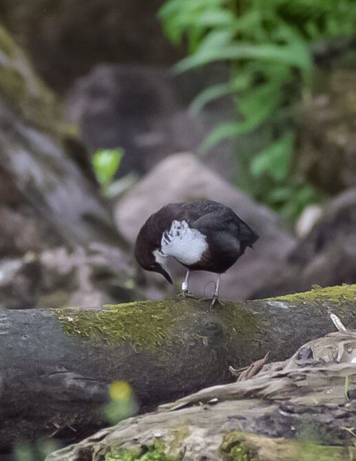 Valokuvaaja: Suvi Kinnari