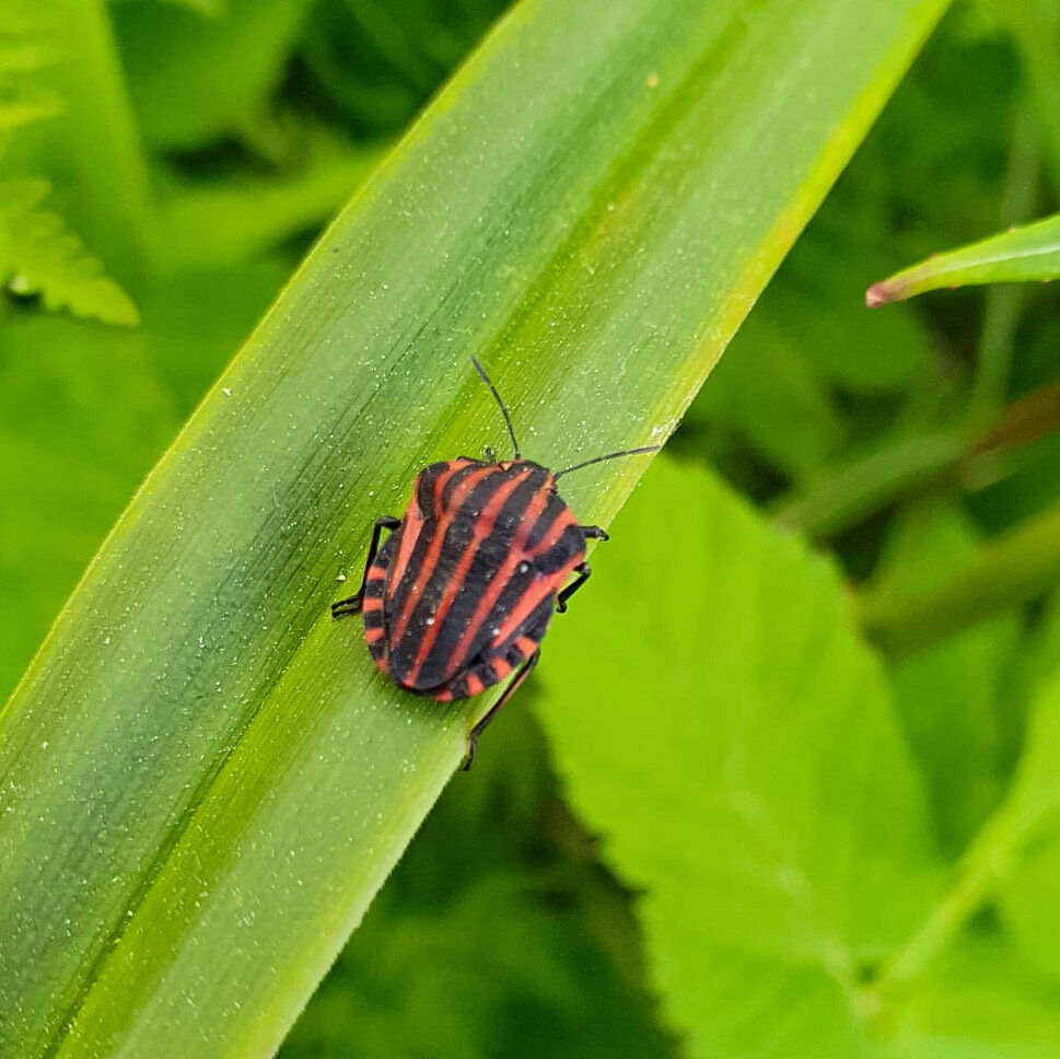 Valokuvaaja: Jonna Savolainen