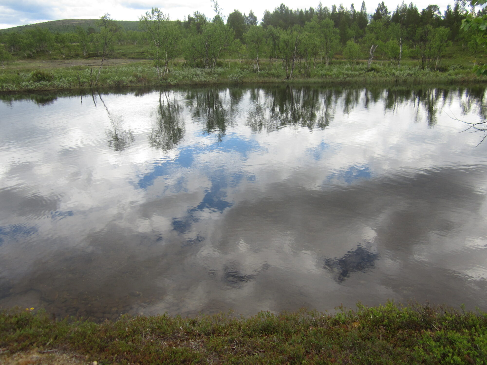 Valokuvaaja: Marita Portin