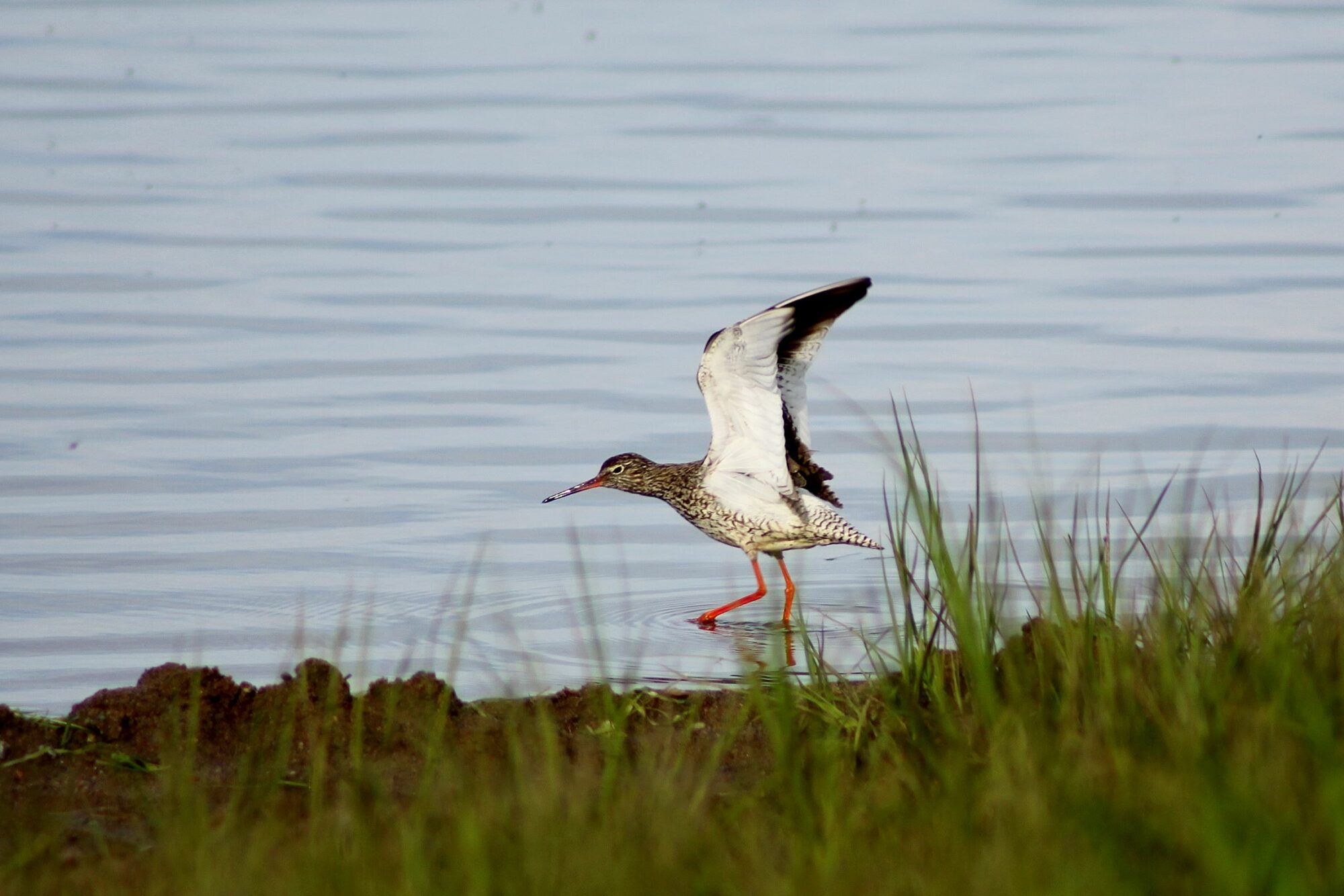 Valokuvaaja: Pirkko Siukonen