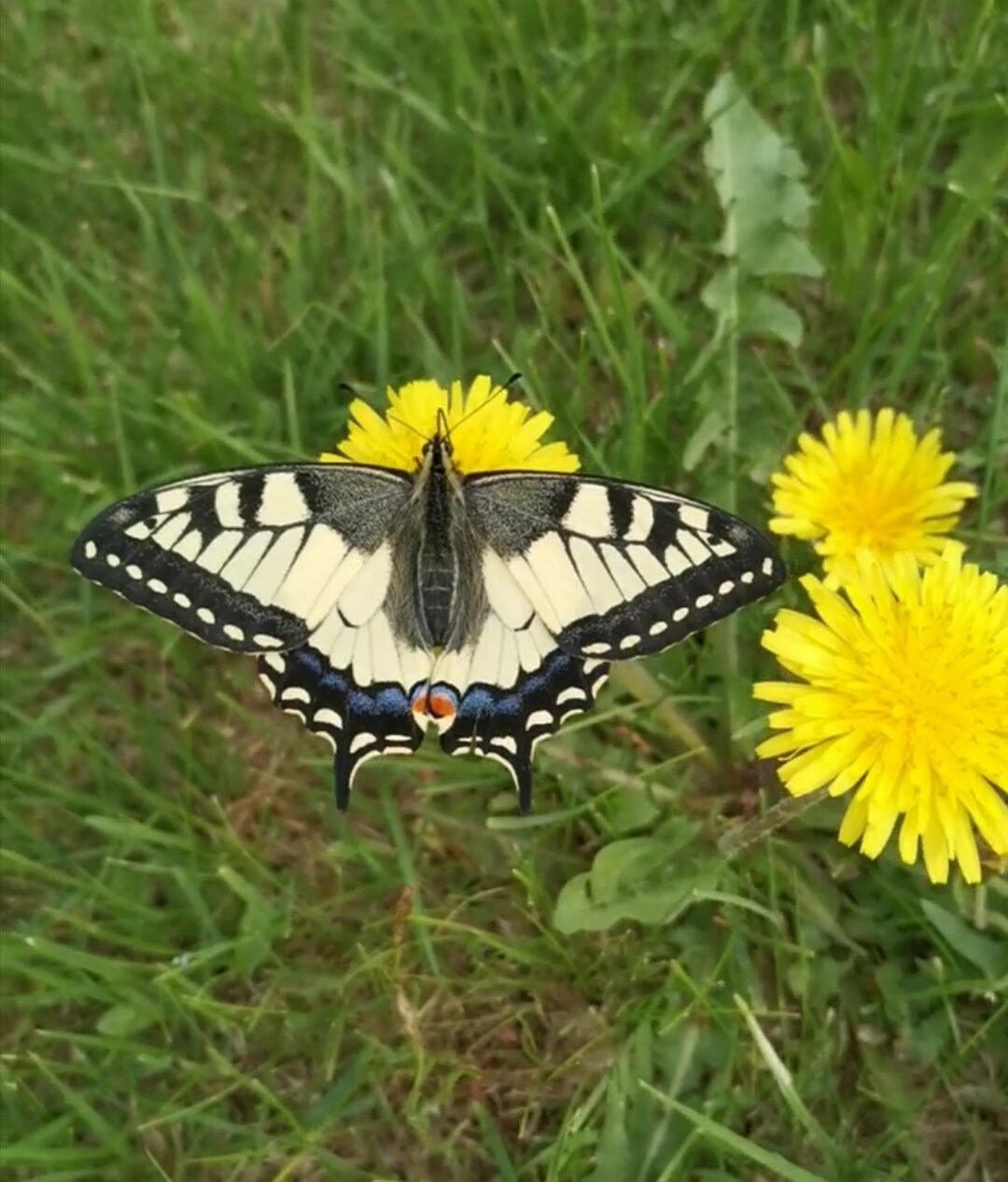 Valokuvaaja: Soile Kreivi Valokuvaaja: Soile Kreivi