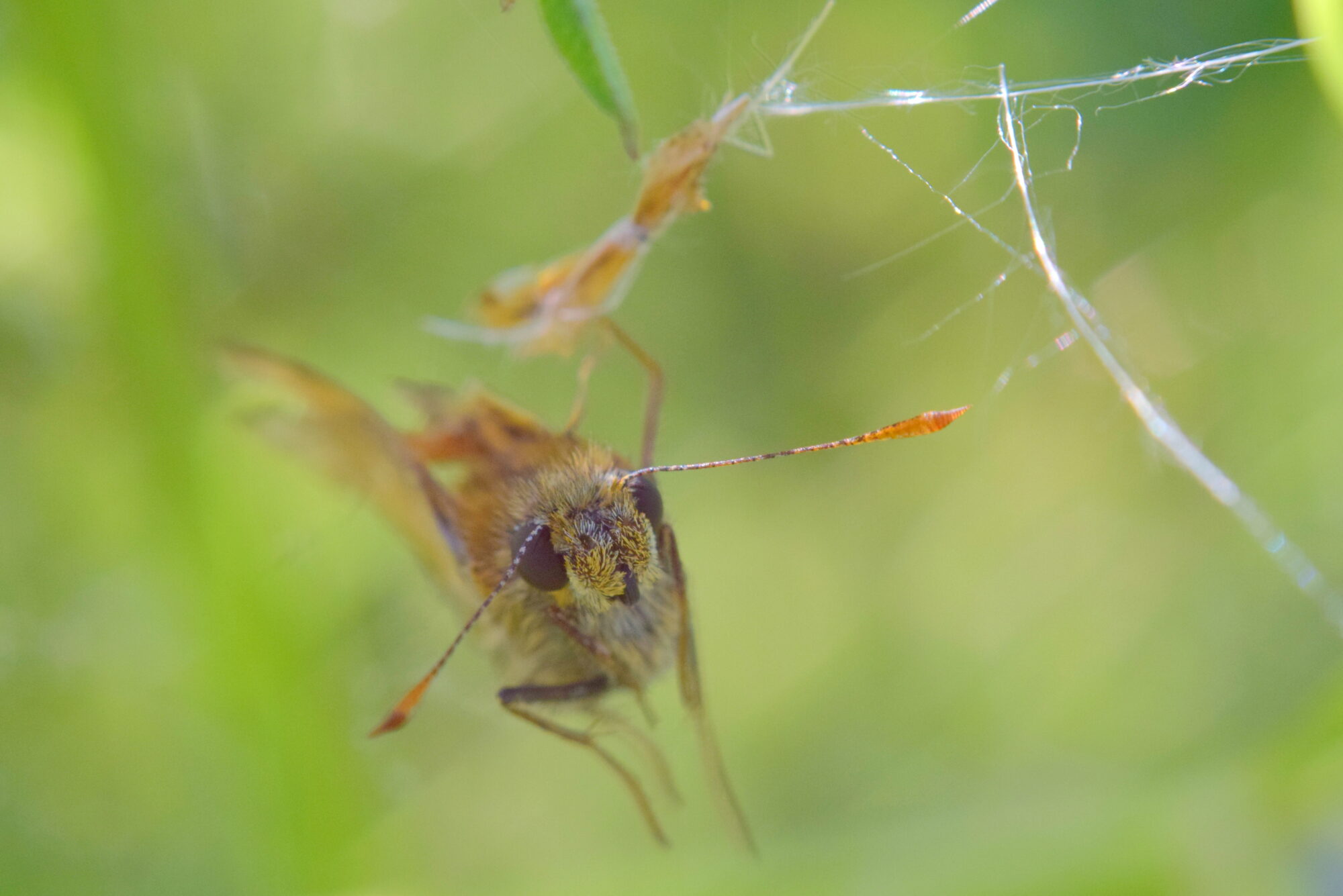 Valokuvaaja: Kaarlo Asikainen Valokuvaaja: Kaarlo Asikainen
