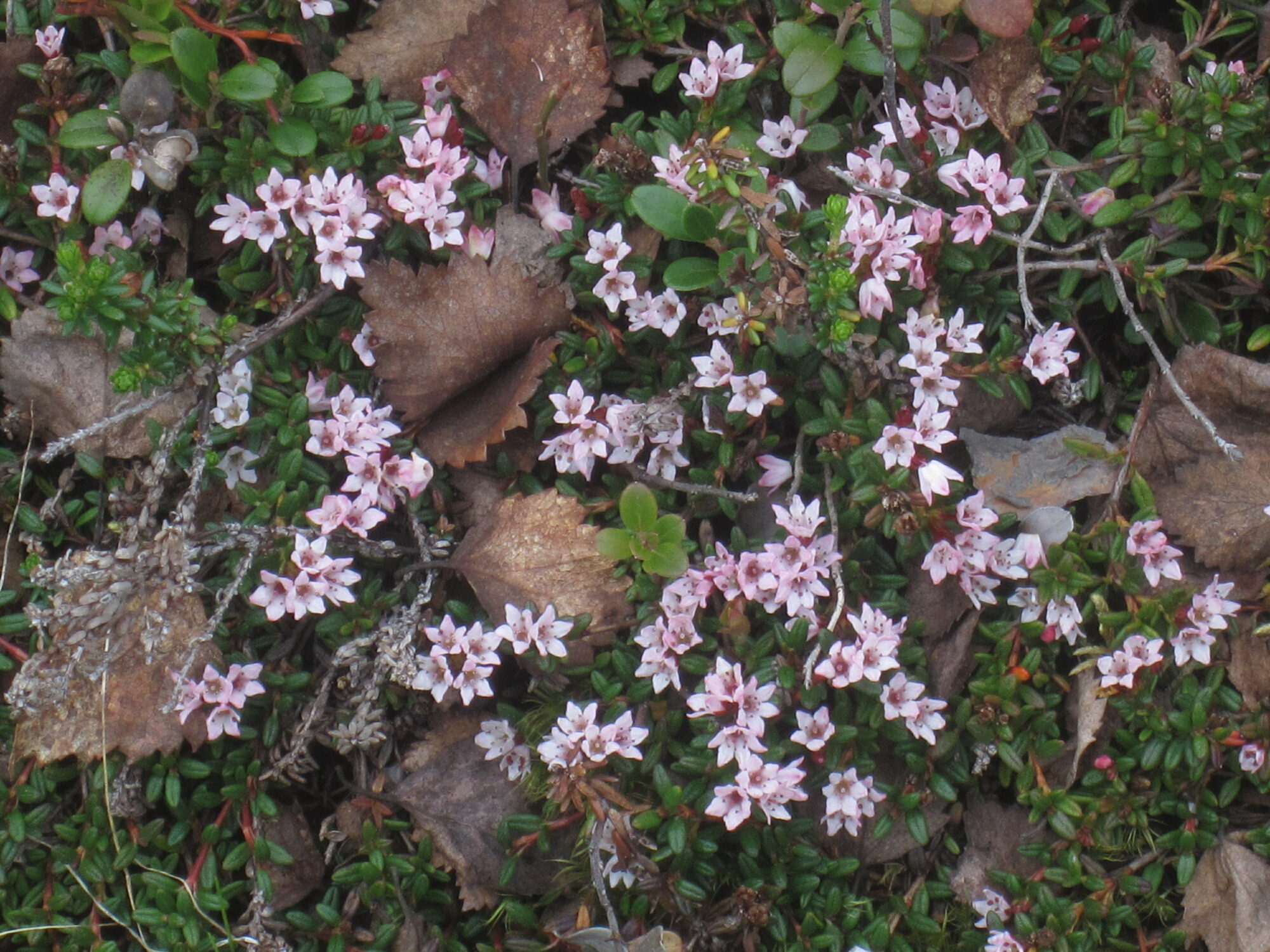 Valokuvaaja: Marita Portin