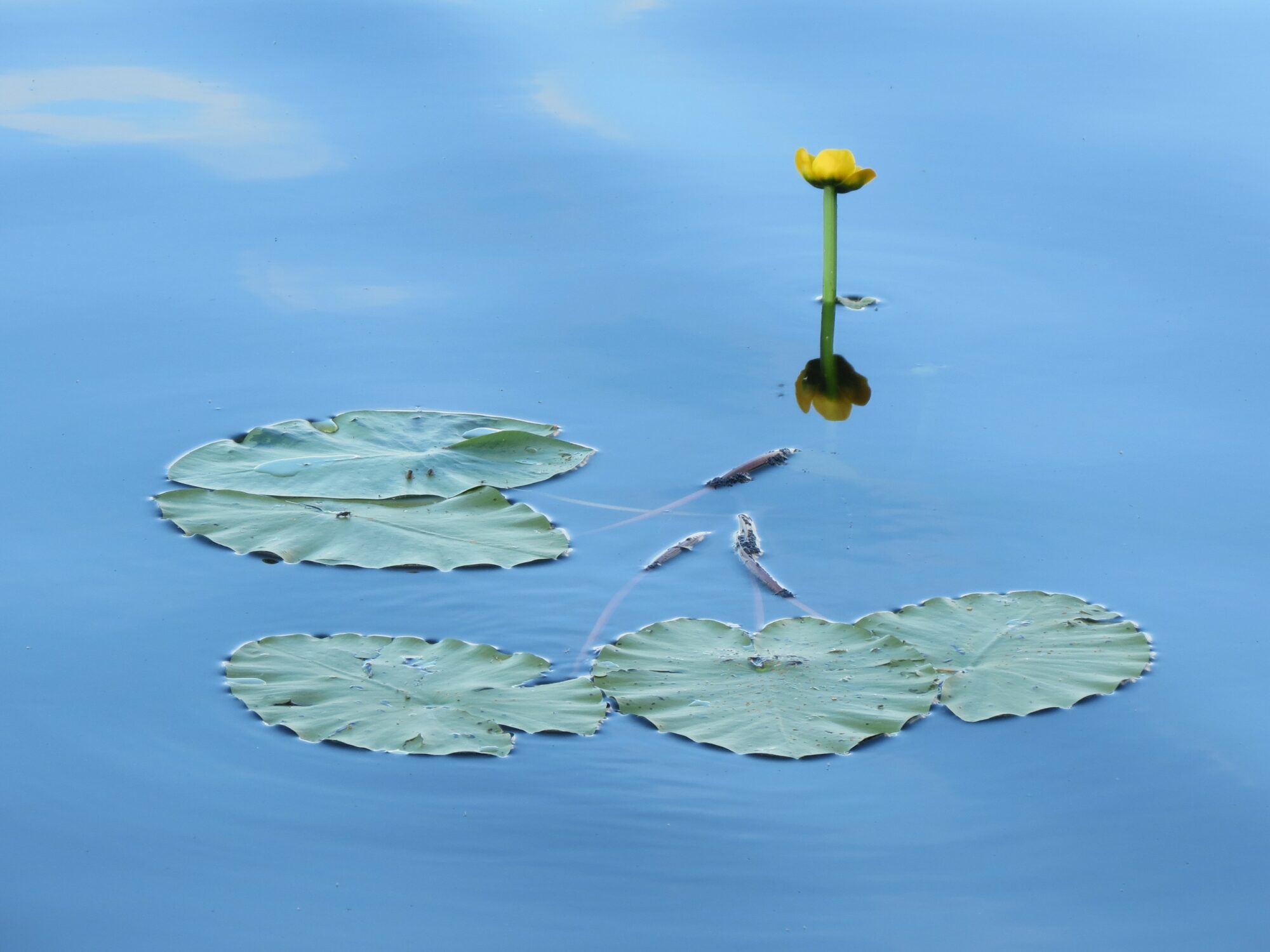 Valokuvaaja: Elina Vuorimaa-Laukkanen