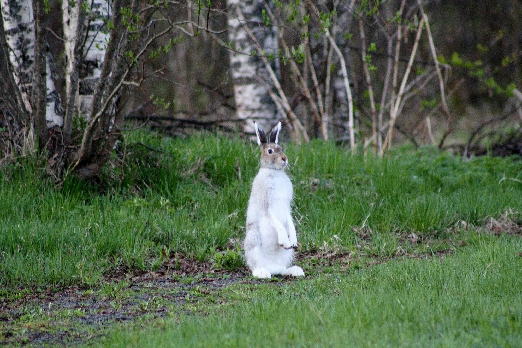 Valokuvaaja: Pirkko Siukonen