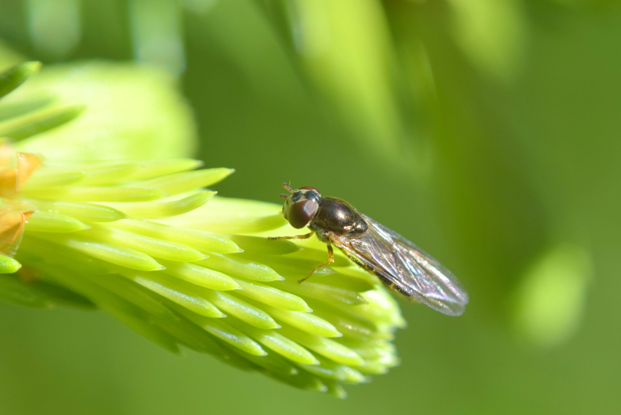 Valokuvaaja: Kaarlo Asikainen