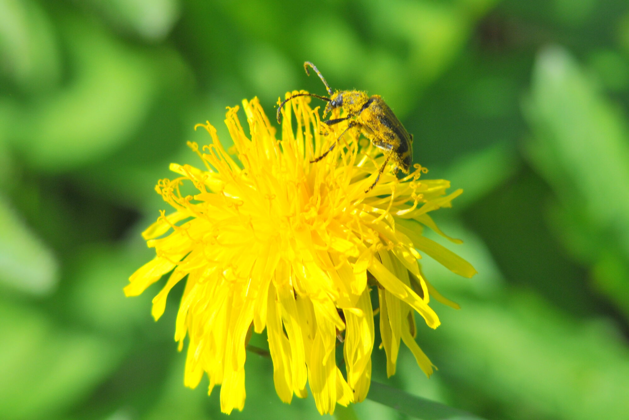 Valokuvaaja: Kaarlo Asikainen