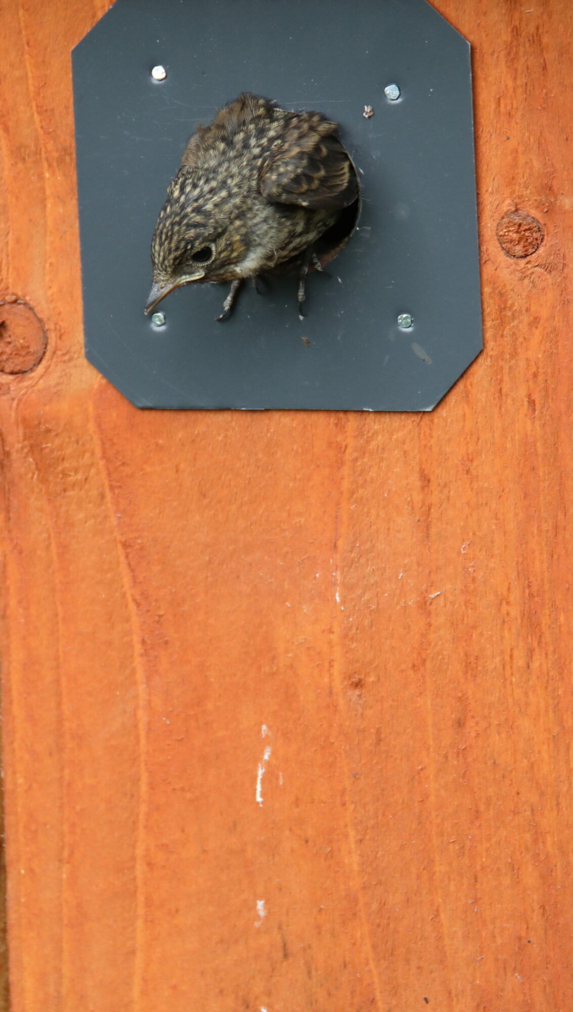 Valokuvaaja: Ahti Keränen