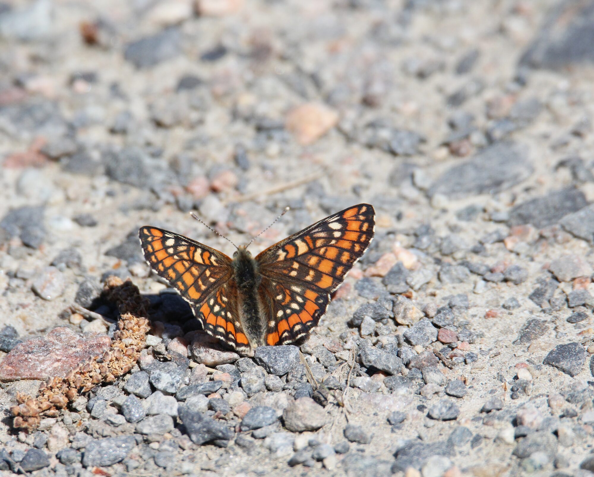 Valokuvaaja: Jaana Saarelainen