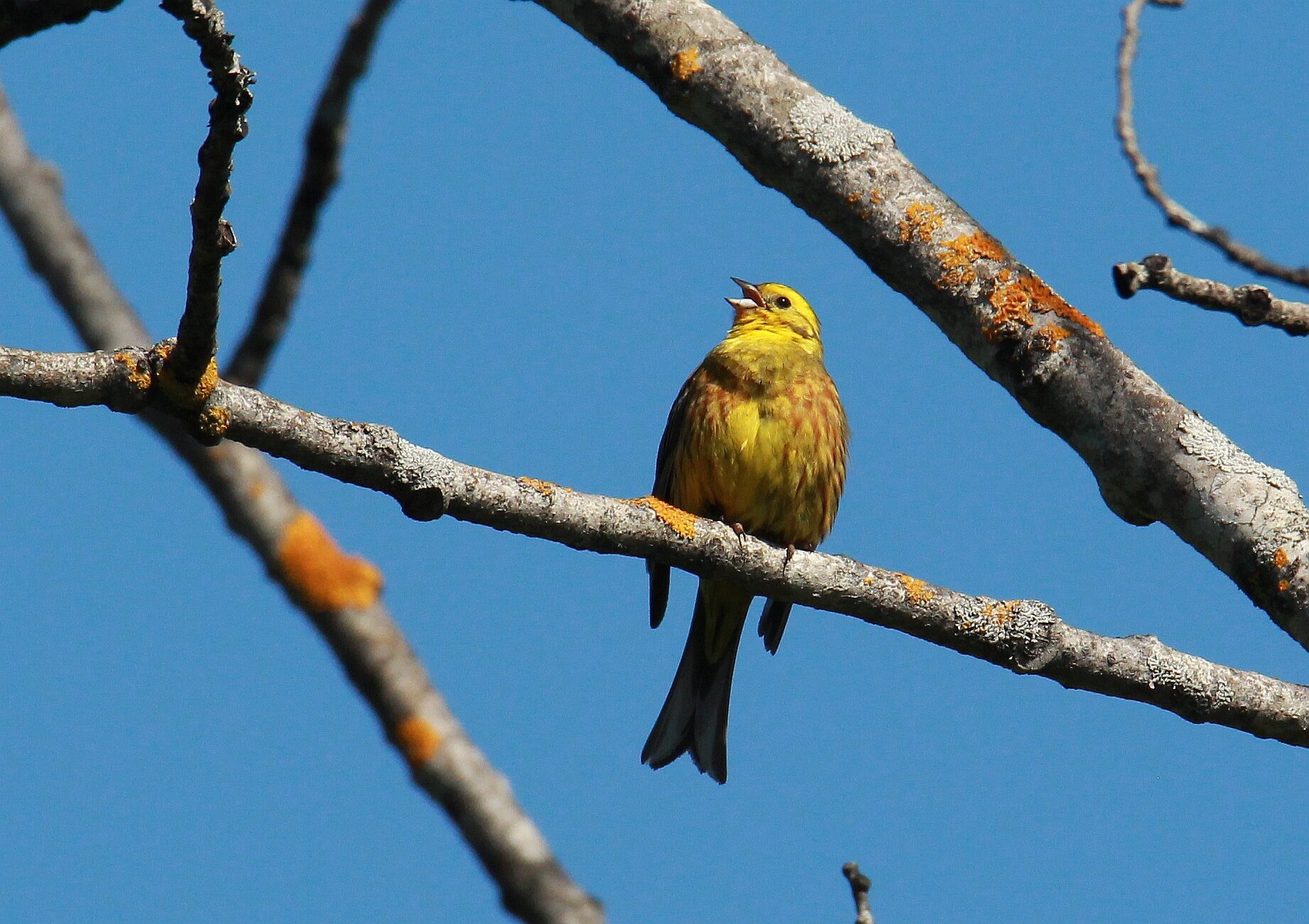 Valokuvaaja: Jaana Saarelainen