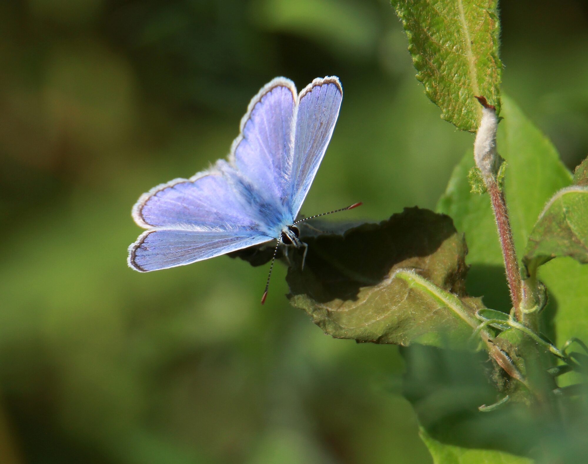 Valokuvaaja: Jaana Saarelainen