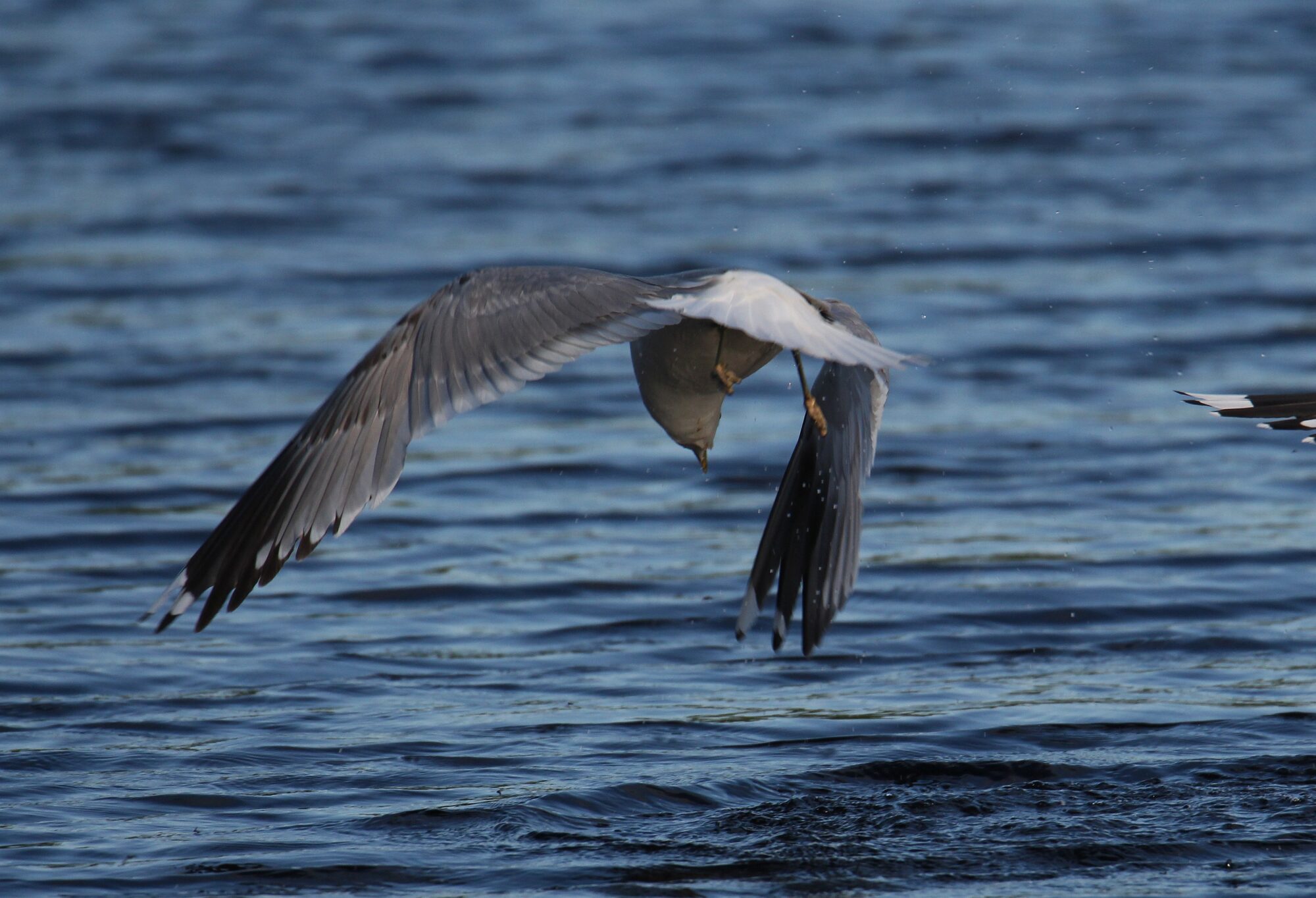 Valokuvaaja: Jaana Saarelainen