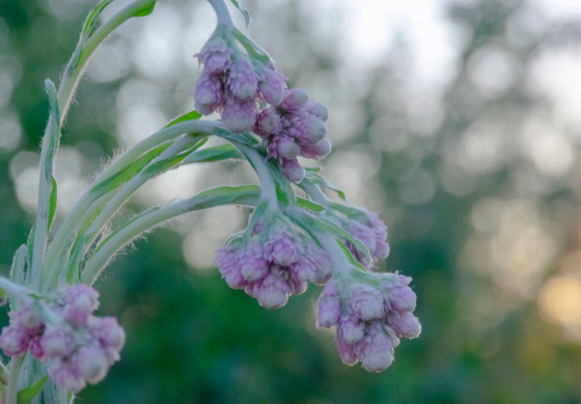 Valokuvaaja: Leena Rissanen Valokuvaaja: Leena Rissanen