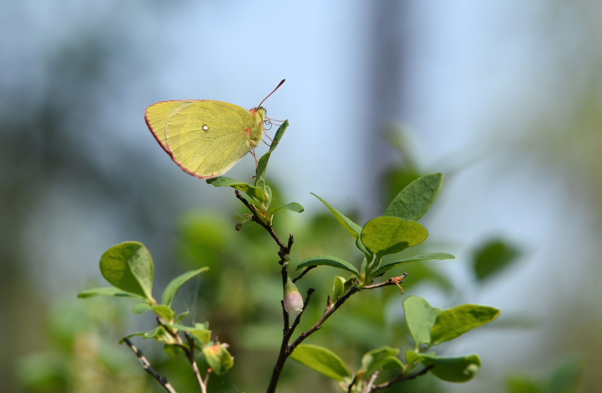 Valokuvaaja: Antti Kaskinen