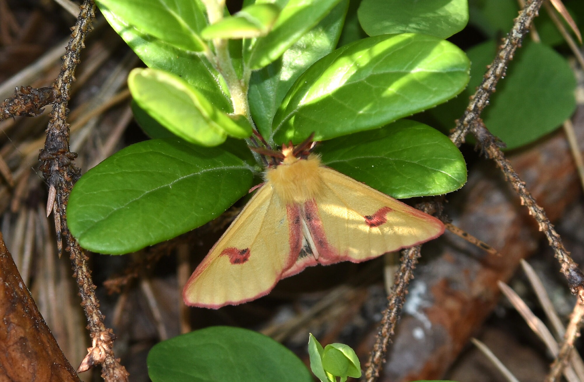 Valokuvaaja: Antti Kaskinen