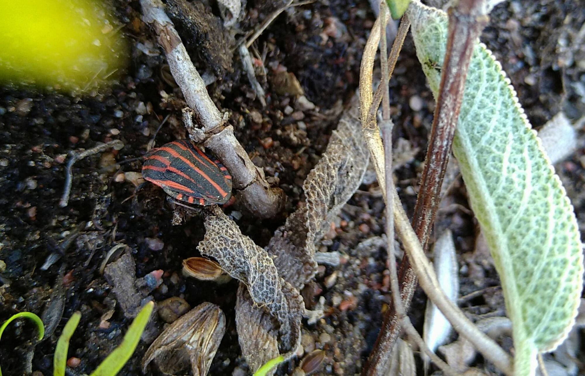 Valokuvaaja: Anne Paloheimo