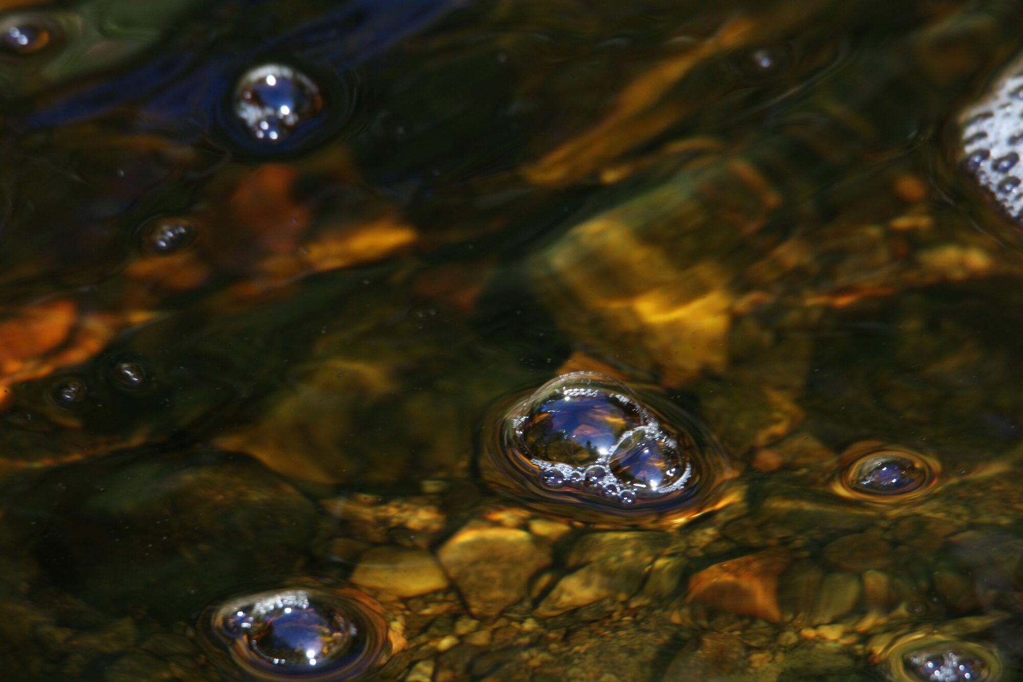 Valokuvaaja: Jaana Saarelainen