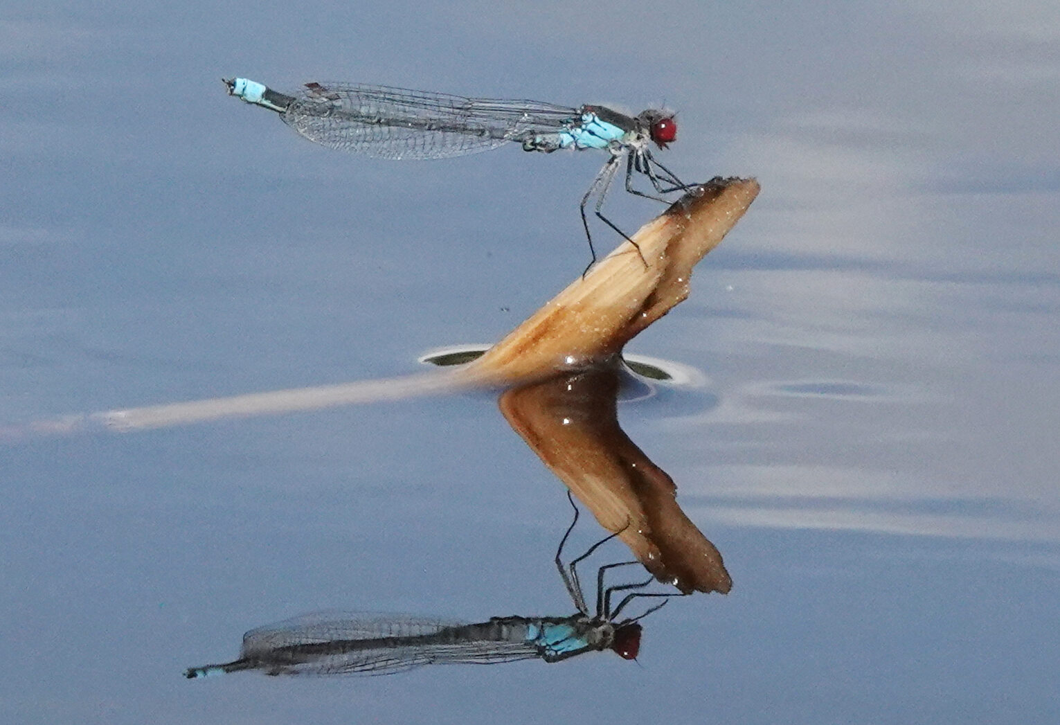 Valokuvaaja: Timo Lehtonen