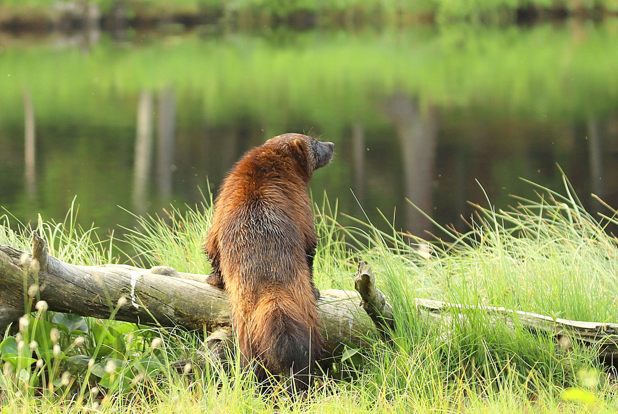 Valokuvaaja: sirpa jyske