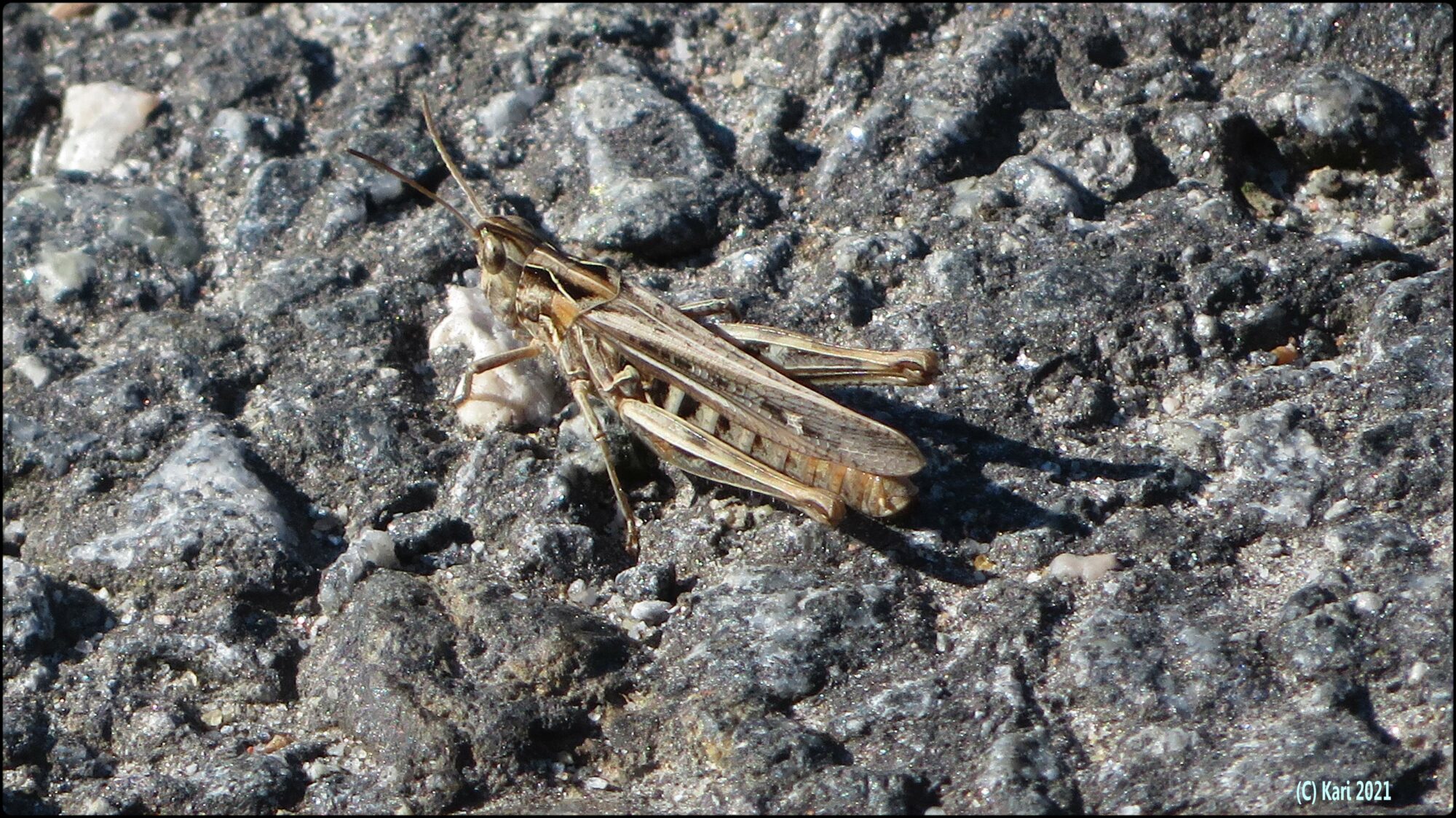 Valokuvaaja: Kari Saarinen