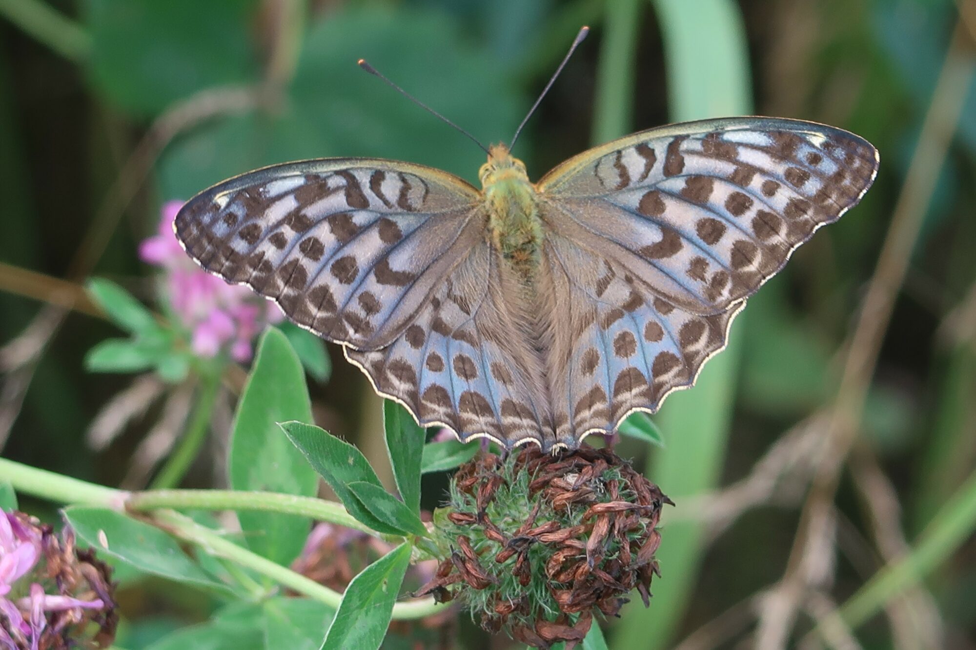 Valokuvaaja: Mari Ahtola